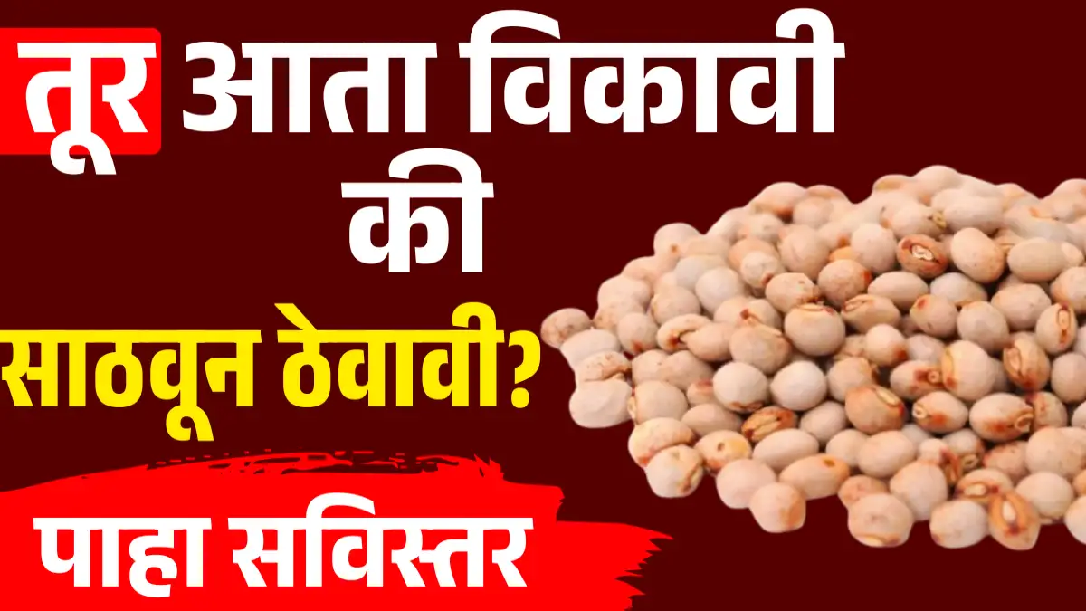 Tur Market Update 2026